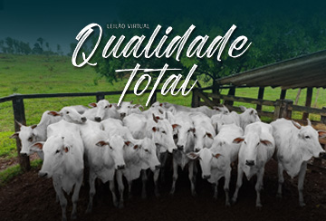 LEILÃO VIRTUAL QUALIDADE TOTAL
